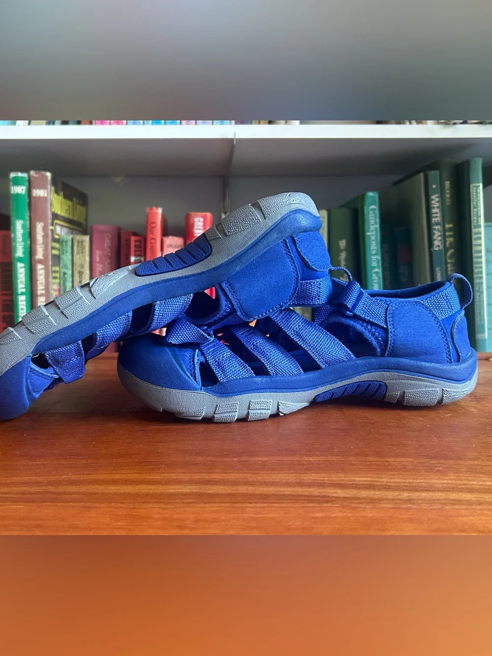 Keen Kids Royal Blue Closed-Toe Sport Sandal